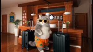 Путешествие Маси в Хабаровске