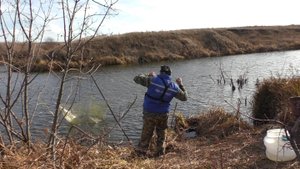 ЛОВЛЯ СИНЬГИ МАЛЯВОЧНИКОМ. ОКУНЬ БЕРЁТ НА СИНЬГУ.