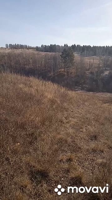 Заготовка чилижных веников на зиму.