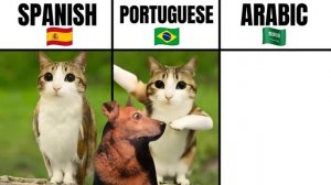 Spanish vs Portuguese vs Arabic