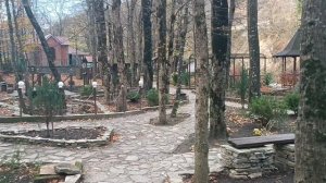 Святая Рука источник