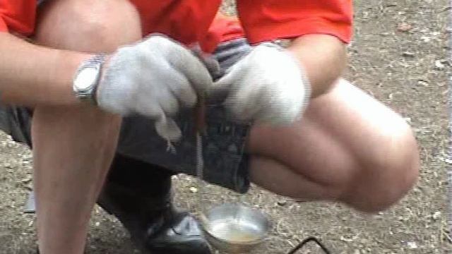 4 от дениски до долины чулушман