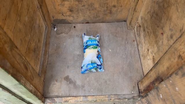 БАТЯ.НАЗАД В БУДУШИЕ
Викторович