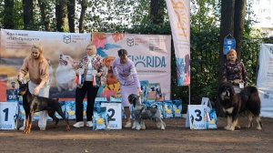 21.09.2025, СПб. Клуб "СПбЦВЕО" (РКФ, РФСС). Выставка собак САС 2 группы FCI