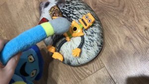 lMG_4 мега побег из друга работы часть 2