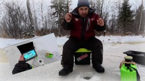 Открытие сезона 25-26 с новой камерой. Ловлю живца.