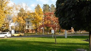 02=11=2025  ник  КРАСНОДАР   (121)