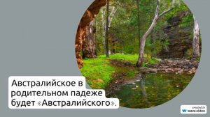 Фамилия Австралийское: происхождение, история и значение - все, что нужно знать. Узнайте правильное