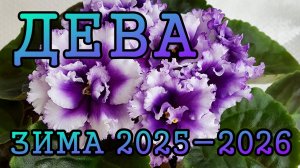 ДЕВА таро прогноз на ЗИМУ 2025-2026 года (декабрь 2025, январь и февраль 2026)