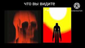 что вы видите