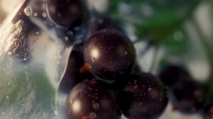 😎 Новая коллекция природных ароматов Nordic Garden ❄ Сибирское Здоровье #sw #парфюм