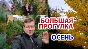 Большая прогулка по осеннему яркому саду