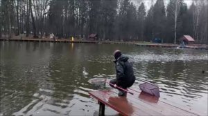 И снова форель хорошо ловится на спиннинг. Клёвое место, Лосиный остров, верхний водоём.