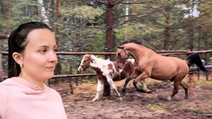 СПАСЛИ ЛОШАДЬ С БОЙНИ! ЧТО С НЕЙ СТАЛО ЧЕРЕЗ 2 МЕСЯЦА? ЖИЗНЬ В ДЕРЕВНЕ. ИСПЫТАНИЕ НОВОГО ПОМОЩНИКА