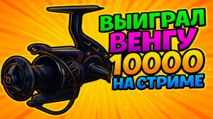 Выпала СЕМНАДЦАТАЯ Венга 10000 за 15800 рублей в Юлькиной рулетке