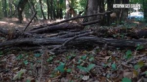 Максибудни Абобо.Жизнь.