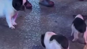 Доброе утро😊Мы с тобой одной крови – ты и я!😂