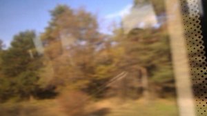 DSCN8423Осенний Архыз,канатка,ферма Альпаки ноябрь 2025