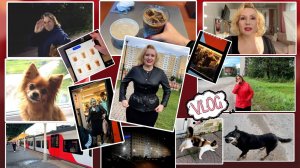 VLOG: ЕДУ К МАМЕ💕, СЕСТРА ВСТРЕЧАЕТ // ПРОГУЛКА : СОБАКА ОБЛАЯЛА, КОТ СБЕЖАЛ🤣//ОБРАЗ ДНЯ ЦВЕТИКА
