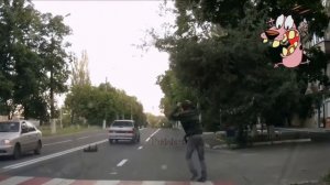 жалко пёсика