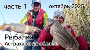 Рыбалка в Астраханской области. октябрь 2025 часть1