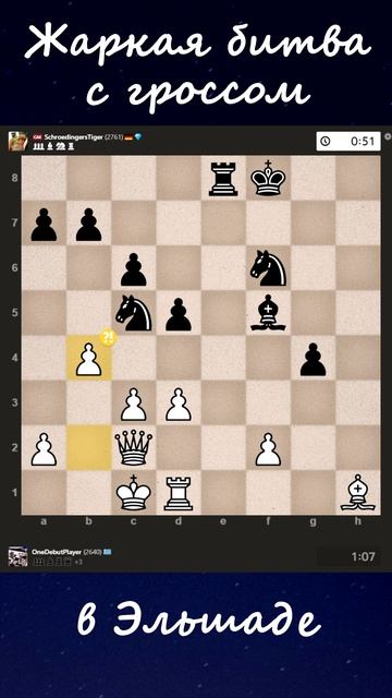 Жаркая битва с GM в Эльшаде!