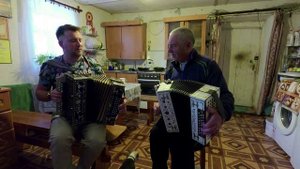 Досада канарейка Сударев Коськин