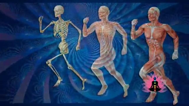 05 Ноября "КОСТИ" матрица подлинная П П гаряева Петр Гаряев Программы сайто WAVEGENETICS.RU CD