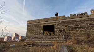 Парапет. Выпуск 36