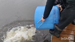 04.11.25. Утреннее зарыбление VIP зоны форелью.