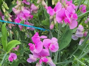 Это было этим летом…