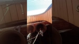 Трезвон по окончании Божественной Литургии 4 ноября. С праздником иконы Божией Матери "Казанская"