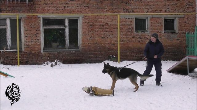 Вирджи   Из Тигровой Династии. Тренировка по защите декабрь  2019