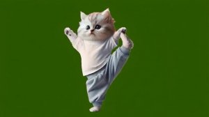 Гимнастика