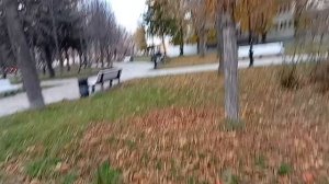 мы не ссоримся,мы спорим/ много готовки