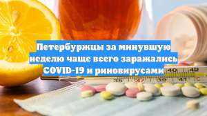 Петербуржцы за минувшую неделю чаще всего заражались COVID-19 и риновирусами