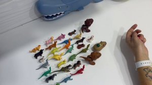 Акула и динозавры