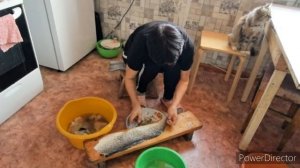 Жизнь аборигенки. На конце кто-то жить будет. Родители. Мои сестры. 02.11.25.