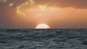 Женщины Севера за сохранение ценностей.  ООО «Сахалинская Энергия». Фестиваль «Земля открытий».