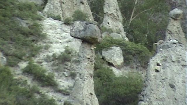 алтай 2008 каменные грибы (река Чулушман)