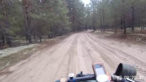 Велотуризм в вещёре - орехово-зуево - баккшеево - уршельский - черусти