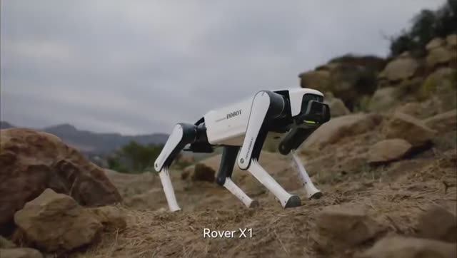 В Китае представили робопса Rover X1 по цене смартфона