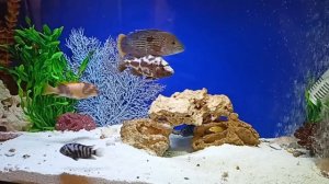 Ресторан ОДжах, Екатеринбург