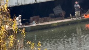 Снова серый мост