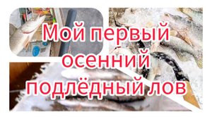 Мой первый осенний подлёдный лов