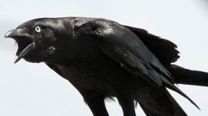 Бабушка на лавочке рассказала