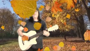 Поезд-песня Бориса Купчина(под гитару)