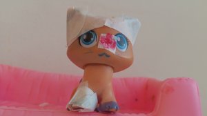 лпс популяр эпизод 25