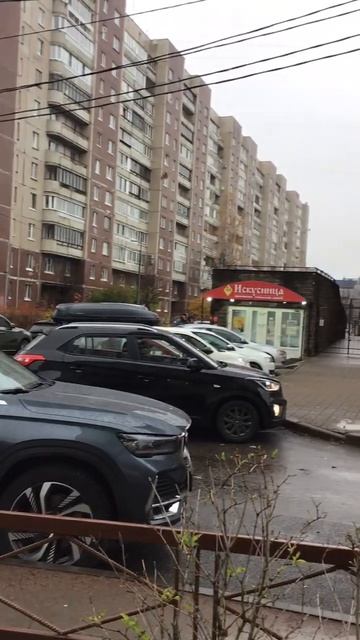 Санкт-Петербург. 04.11.2025.  Последний месяц осени, проспект Энгельса. Эпизод 1