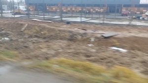 4.11.2025.11:20 Усадьба Парк Кино Ляхово. Парк Сибирских Кошек.Визитная карточка. Домодедово.Московс